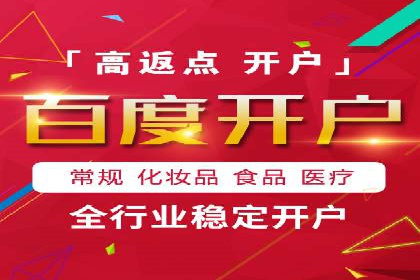 初学者的百度竞价推广：成功案例揭秘